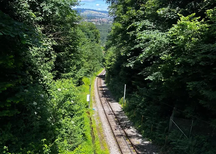 In - Relax * 伯尔尼